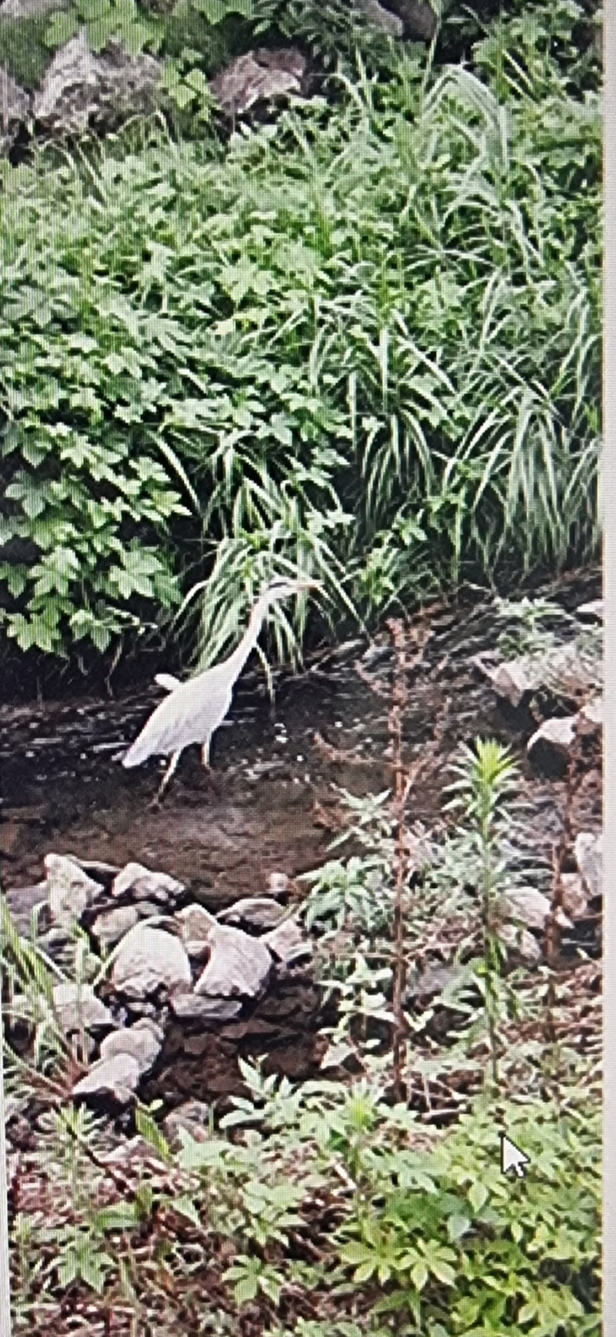 학 사진.jpg