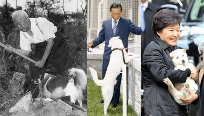 박정희 애완견 2.jpeg