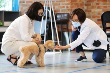 [굿리더뉴스=에세이] "아들아, 제발 나를 개처럼 대해다오"